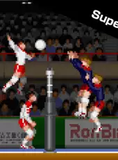 Arcade Archives: Super Volleyball