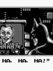 Batman: The Video Game