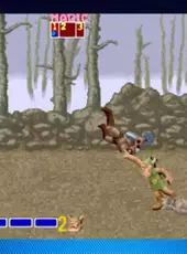 Sega Vintage Collection: Golden Axe