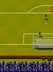 Sensible World of Soccer: European Championship Edition