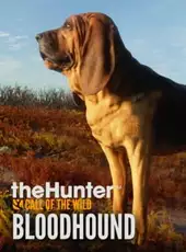 TheHunter: Call of the Wild - Bloodhound