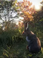 TheHunter: Call of the Wild - New Species 2018