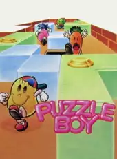 Puzzle Boy