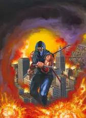 Ninja Gaiden