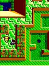 Maze Hunter 3-D