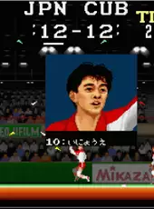 Arcade Archives: Super Volleyball