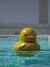 Placid Plastic Duck Simulator