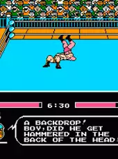 Tecmo World Wrestling