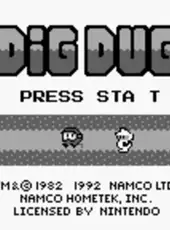 Dig Dug