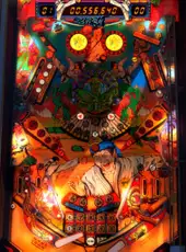 Zaccaria Pinball: Blackbelt Table