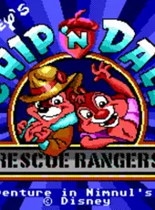 Disney's Chip 'n Dale Rescue Rangers: The Adventure in Nimnul's Castle