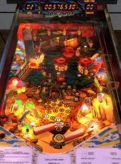 Zaccaria Pinball: Magic Castle Table