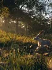 TheHunter: Call of the Wild - Rancho del Arroyo