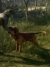 TheHunter: Call of the Wild - Bloodhound