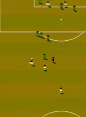 International Sensible Soccer