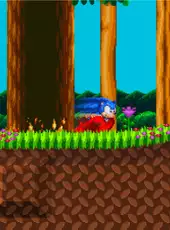 Sonic the Hedgehog Transitions