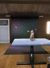 Animal Shelter Simulator