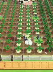 Story of Seasons: Pioneers of Olive Town