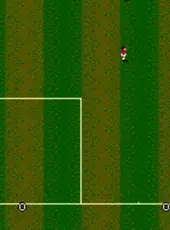 Sensible Soccer: European Champions