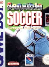 Sensible Soccer: European Champions