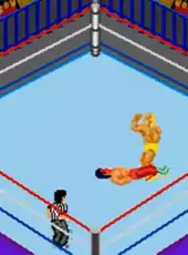 Fire Pro Wrestling 2nd Bout