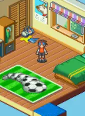 Mega Man Battle Network 6: Cybeast Falzar