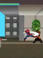 Spider-Man: Edge of Time