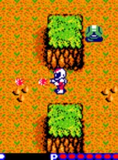 Blaster Master: Enemy Below