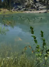 Call of the Wild: The Angler - LakePal Bait Boat Pack