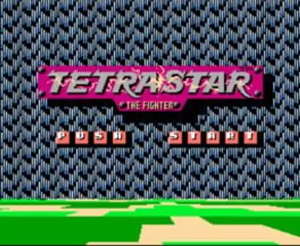 Tetrastar: The Fighter