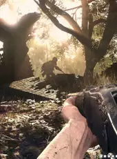 Hunt: Showdown 1896