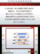 Picross e9