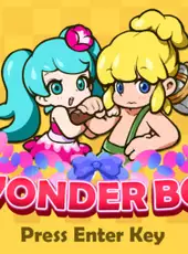 Wonder Boy Returns