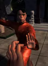 Dragon Fist: VR Kung Fu