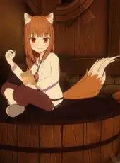 Spice and Wolf VR