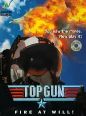 Top Gun: Fire At Will