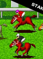 ACA Neo Geo: Stakes Winner 2