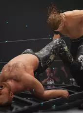 All Elite Wrestling: Fight Forever - Beat the Elite