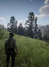 Red Dead Redemption 2