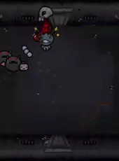 The Binding of Isaac: Afterbirth+