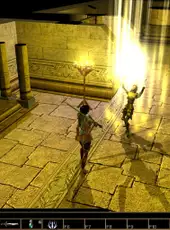 Neverwinter Nights: Enhanced Edition