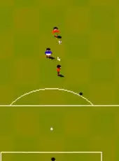 Sensible World of Soccer: European Championship Edition