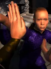 Dragon Fist: VR Kung Fu