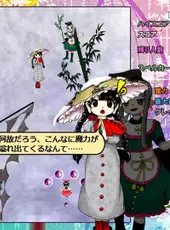 Touhou Tenkuushou: Hidden Star in Four Seasons