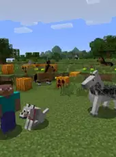 Minecraft: Wii U Edition