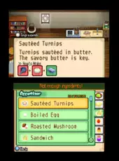 Harvest Moon: The Tale of Two Towns