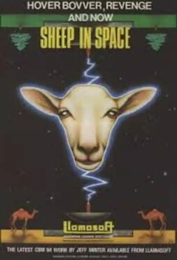 Sheep In Space