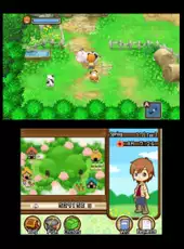 Harvest Moon: The Tale of Two Towns