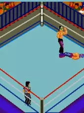 Fire Pro Wrestling: Combination Tag