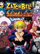 Zatch Bell! Mamodo Fury